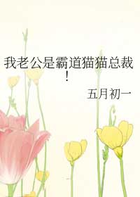 我老公是霸道猫猫总裁
